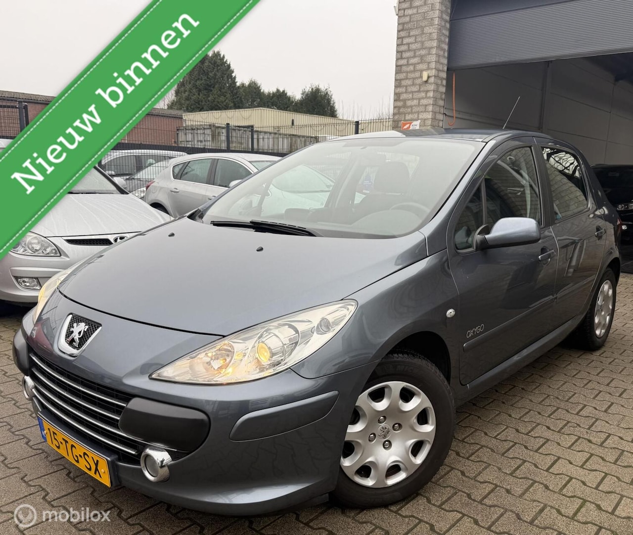 Peugeot 307 - 1.6-16V Oxygo / 102.000KM / Navi / Origineel NL! - AutoWereld.nl