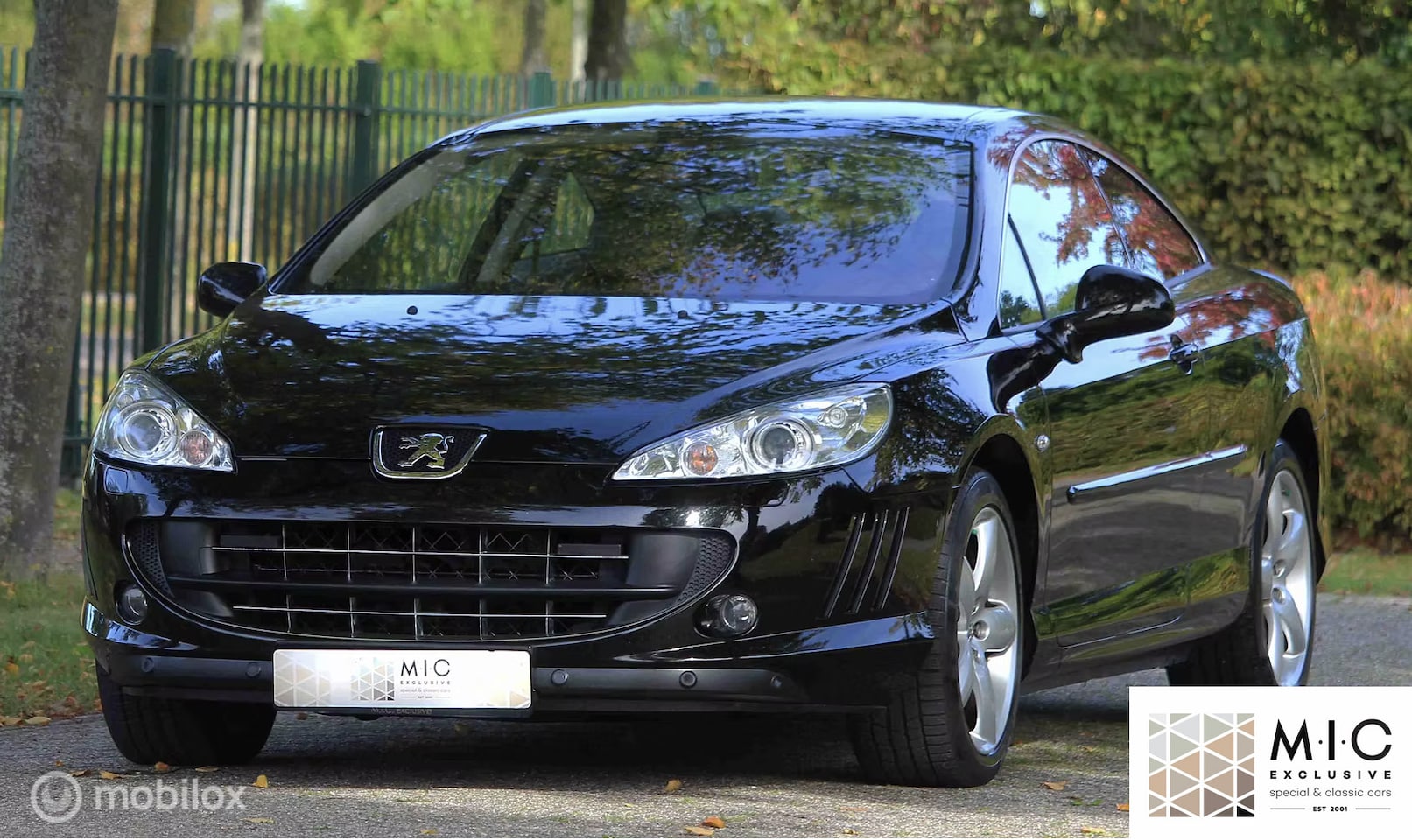 Peugeot 407 Coupé - 3.0-24V V6 GT | 126.000 km | BTW auto. - AutoWereld.nl