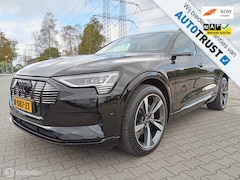 Audi e-tron - 55 quattro edition 95 kWh/408pk/Pano/Trekh 1800kg