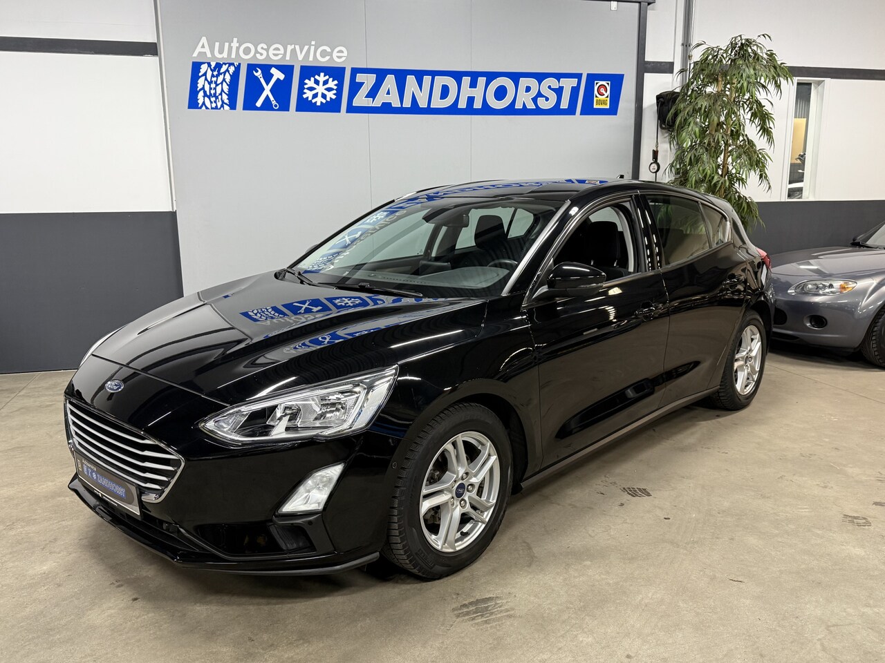 Ford Focus - 1.0 EcoBoost Trend Edition Business // Camera // Trekhaak - AutoWereld.nl