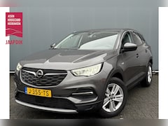 Opel Grandland X - BJR 2020 1.2 Turbo 131 PK Business Executive CAMERA | PDC | CLIMA | NAVI | CRUISE | CARPLA