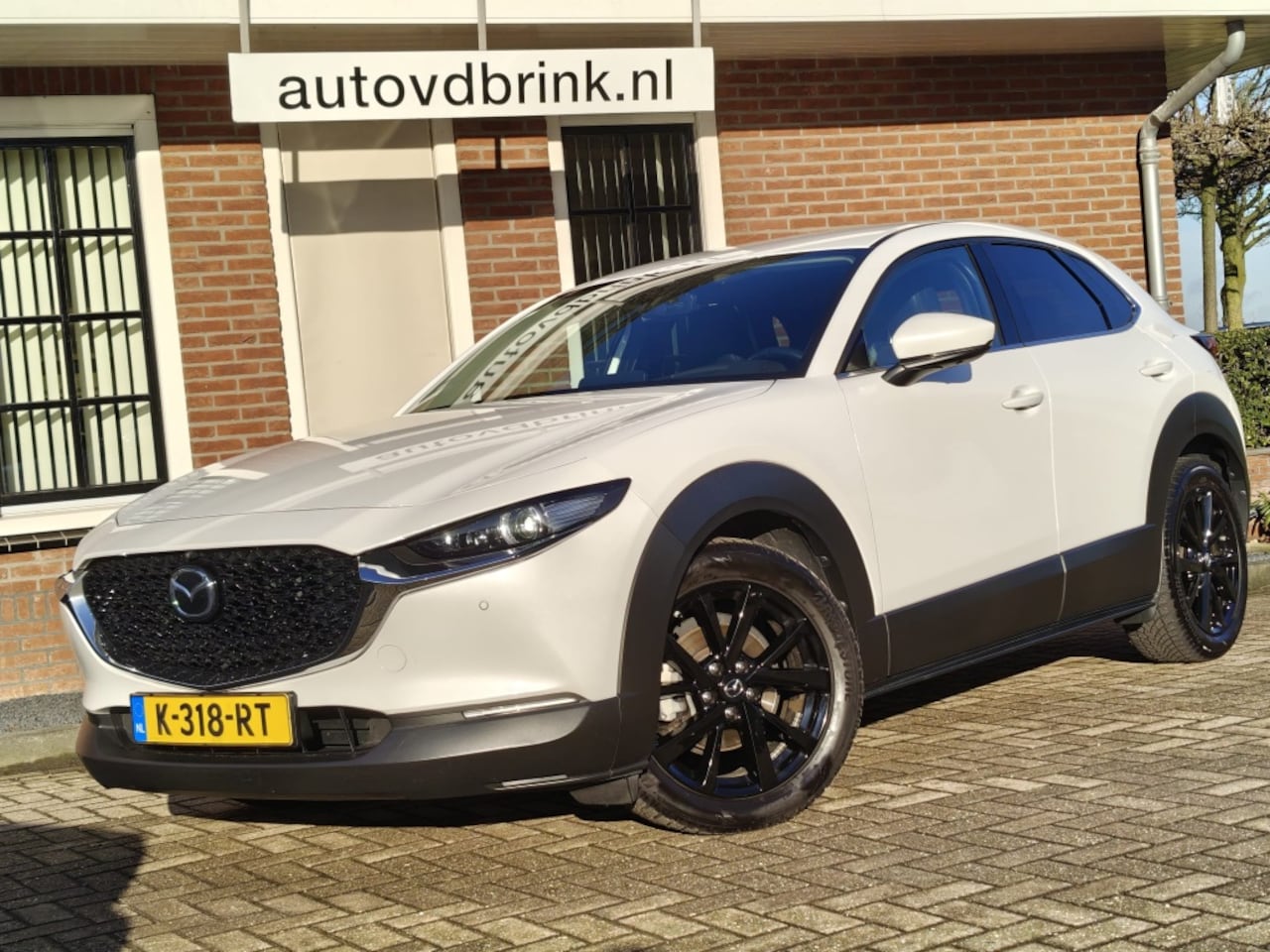 Mazda CX-30 - 2.0 eSA-X Luxury, RONDOM CAMERA / TREKHAAK / LEER - AutoWereld.nl