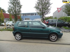 Volkswagen Polo - 1.6