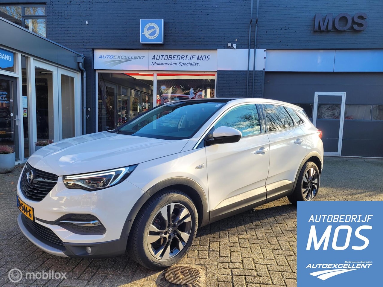 Opel Grandland X - 1.2 Turbo Business Executive 1.2 Turbo Business Executive - AutoWereld.nl