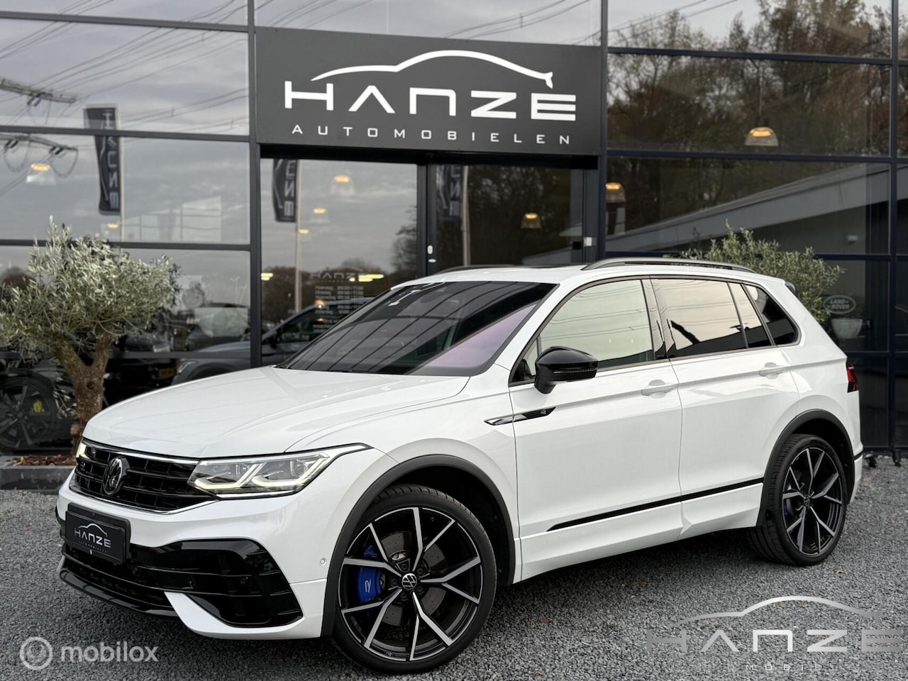 Volkswagen Tiguan - 2.0 TSI R 75 Edition 4Motion|Pano|HUD|IQ| - AutoWereld.nl
