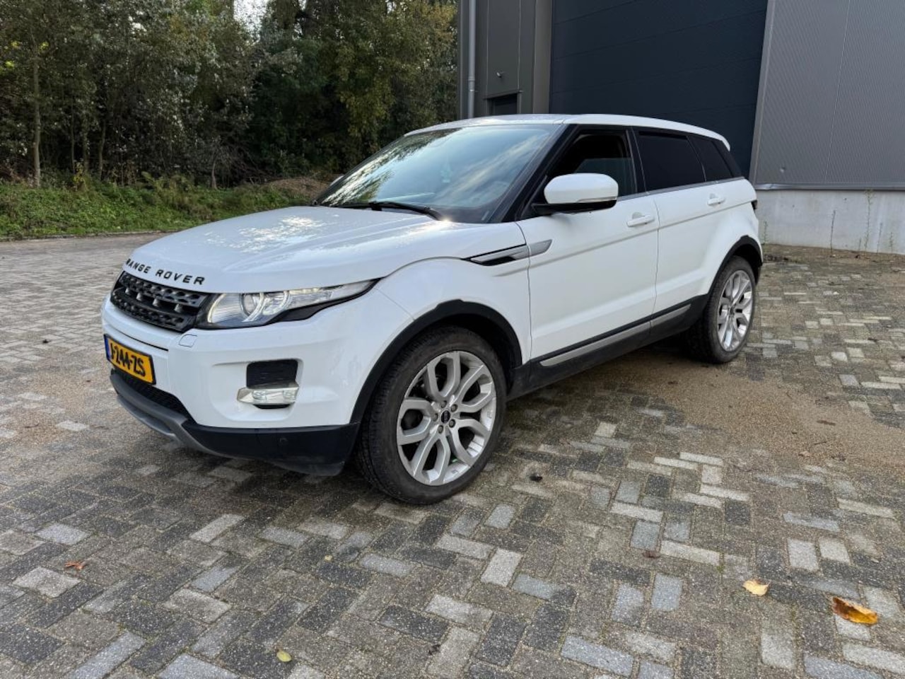 Land Rover Range Rover Evoque - 2.2 TD4 4WD Panorama - AutoWereld.nl
