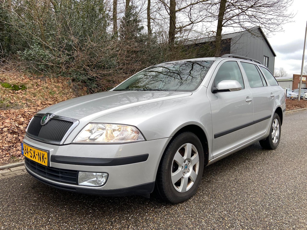Skoda Octavia Combi - 1.6 Elegance 1.6 Elegance 102PK, BJ`2006 - AutoWereld.nl