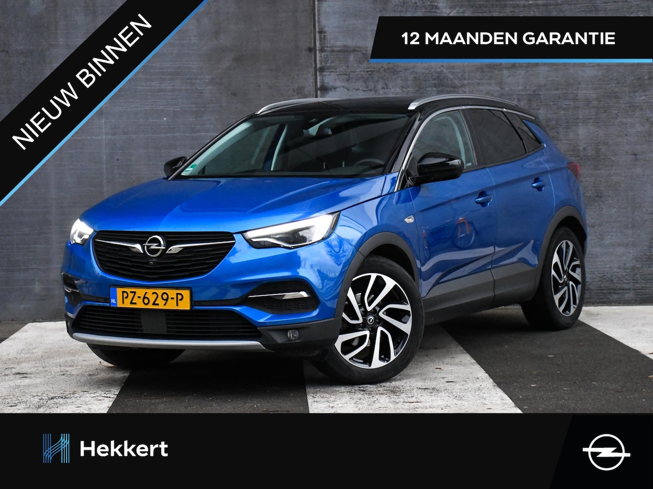 Opel Grandland X - Online Edition 1.2 Turbo 130pk DODE HOEK | 18''LM | STOELVENT/VERW. | CRUISE.C | TREKHAAK - AutoWereld.nl