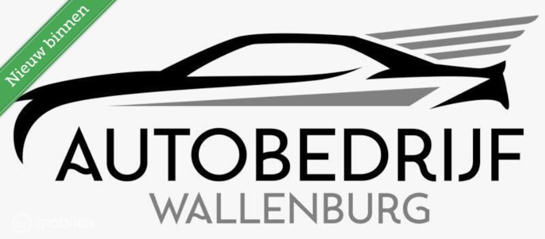 Ford Transit Custom - 280 2.0 TDCI L1H1 Ambiente 280 2.0 TDCI L1H1 Ambiente - AutoWereld.nl