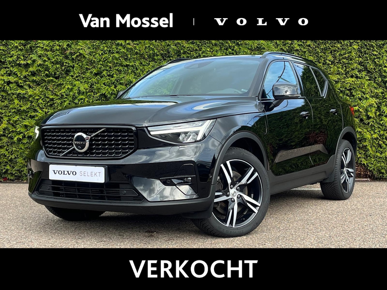 Volvo XC40 - T5 Recharge Plus Dark | Harman/Kardon | 360 camera | Stoel & Stuur Verwarming | - AutoWereld.nl
