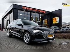 Audi e-tron - E-tron 50 quattro Launch edition 71 kWh, 313 PK, NL auto, PDC, Cruise
