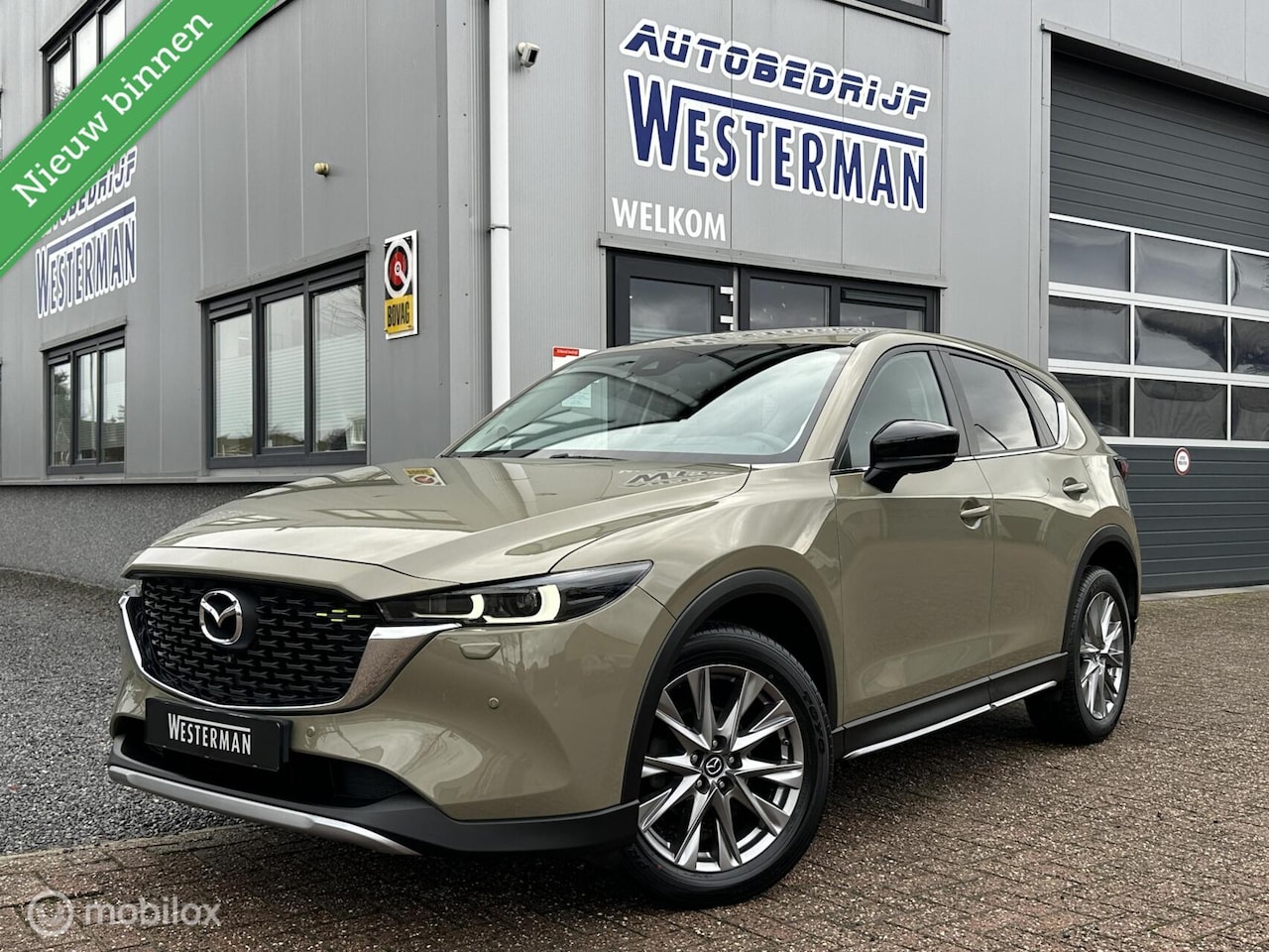 Mazda CX-5 - 2.0 SkyActiv-G 165 Newground Led Trekh. 360ºCam Stoel-/stuurverw. Keyless Carplay 19"Lmv e - AutoWereld.nl