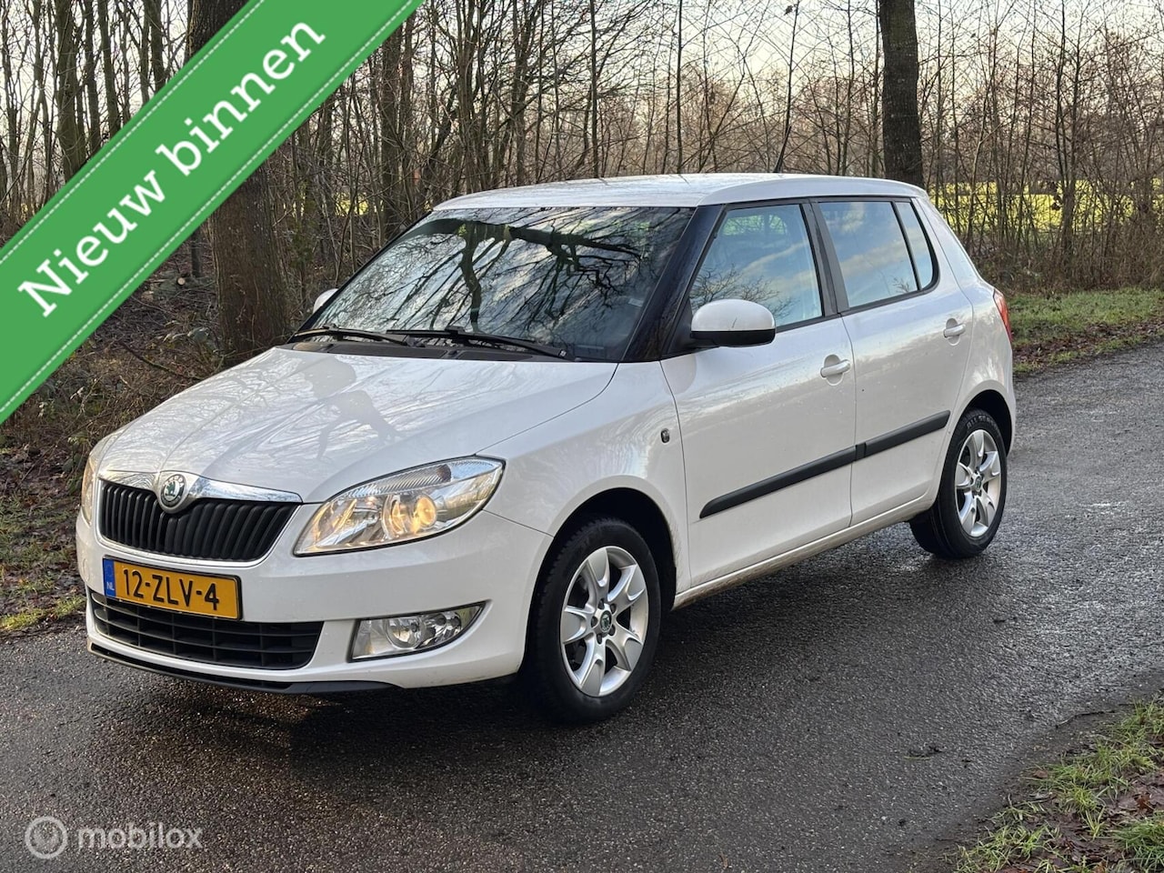Skoda Fabia - 1.2 TSI | Clima | Cruise | Pdc. | Nw ketting | - AutoWereld.nl