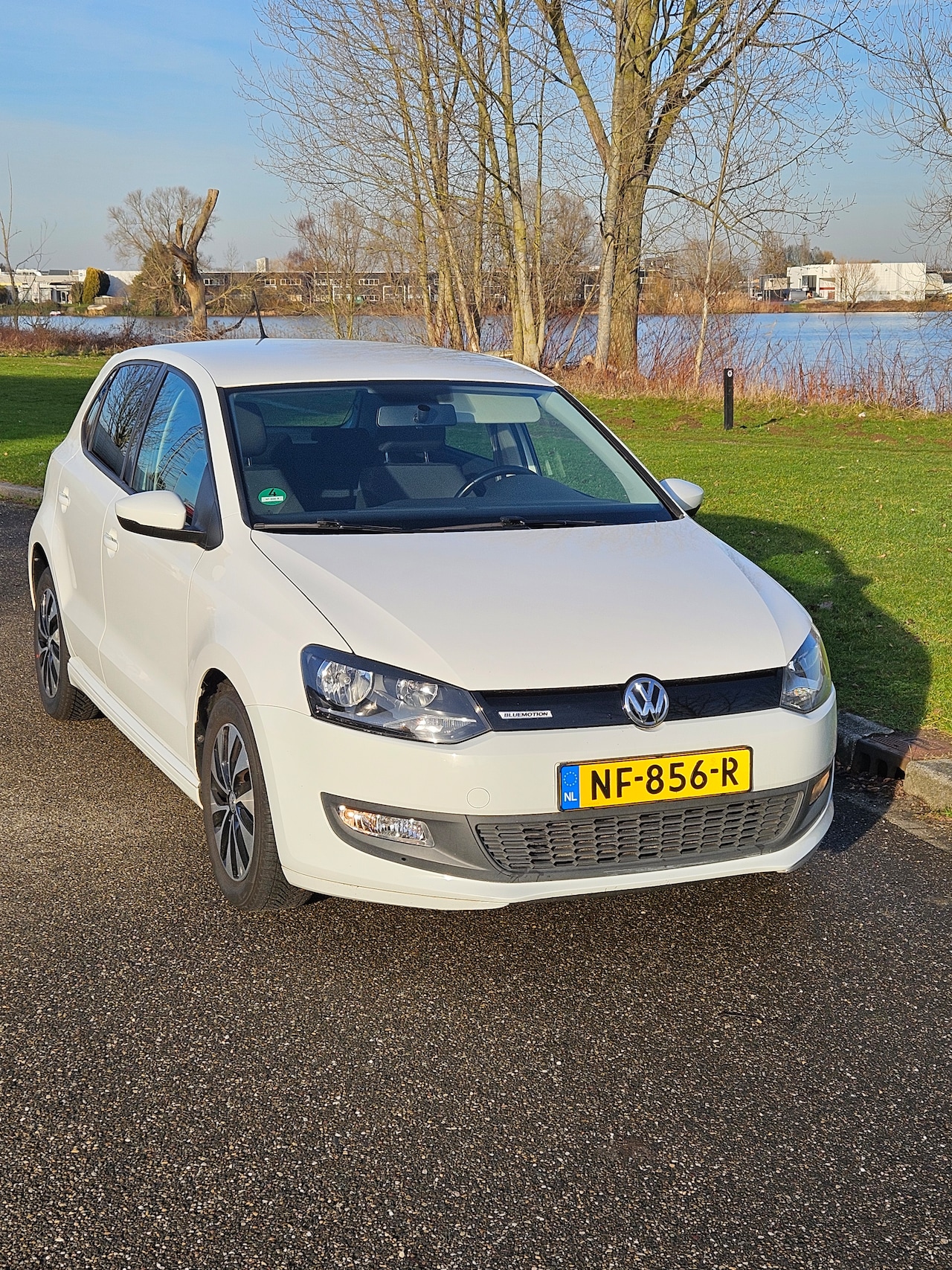 Volkswagen Polo - 1.0 BlueMotion TSI - AutoWereld.nl