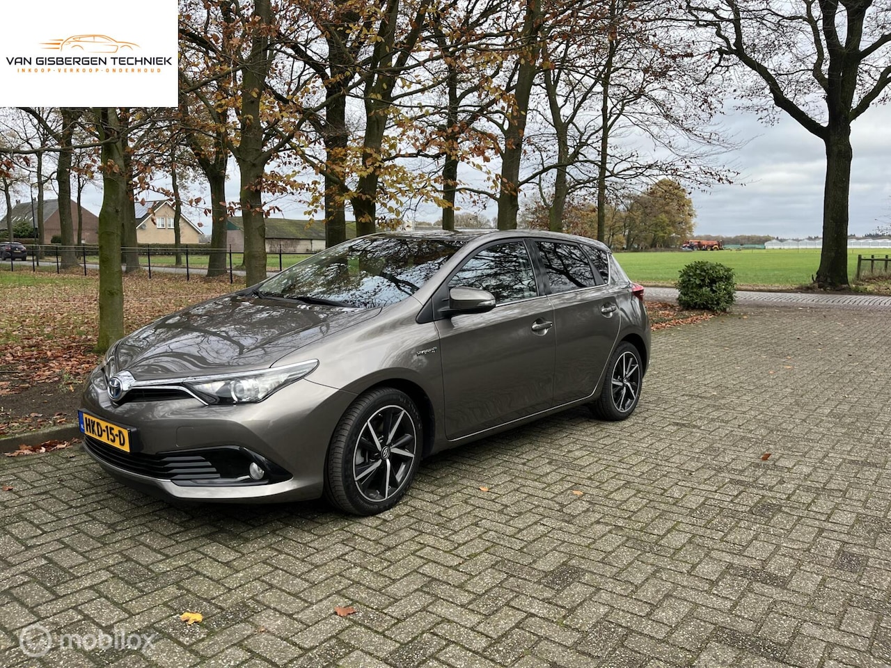 Toyota Auris - 1.8 Hybrid Dynamic camera All in rijklaar - AutoWereld.nl