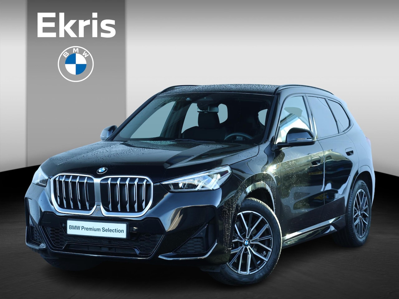 BMW X1 - sDrive20i M Sportpakket/ Elektrische Trekhaak/ Sportstoelen/ Sportstoelen/ Getint Glas/ Ac - AutoWereld.nl