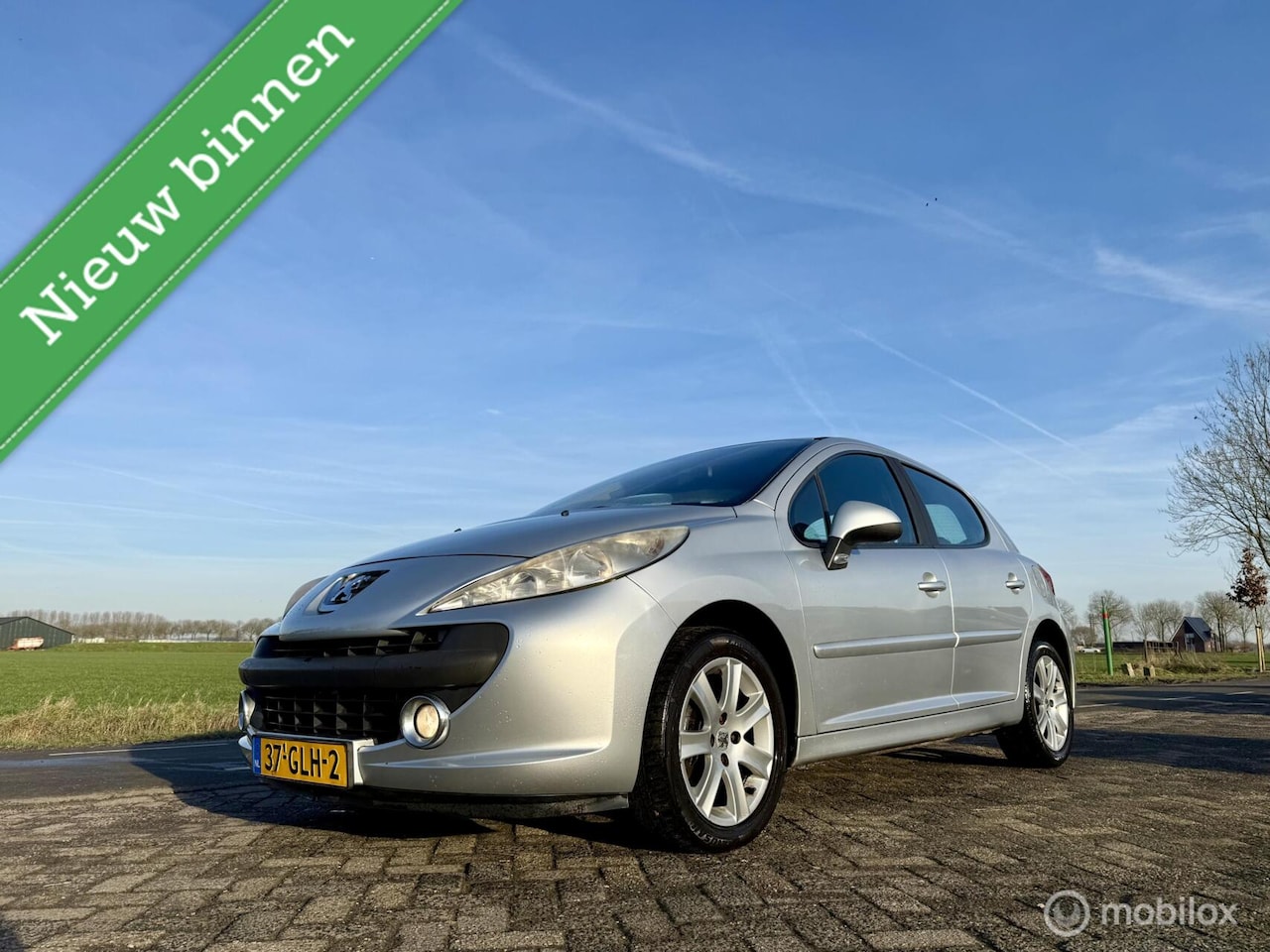 Peugeot 207 - 1.6 VTi XS Pack 1.6 VTi XS Pack, BJ 2008, Airco, Nette Auto - AutoWereld.nl