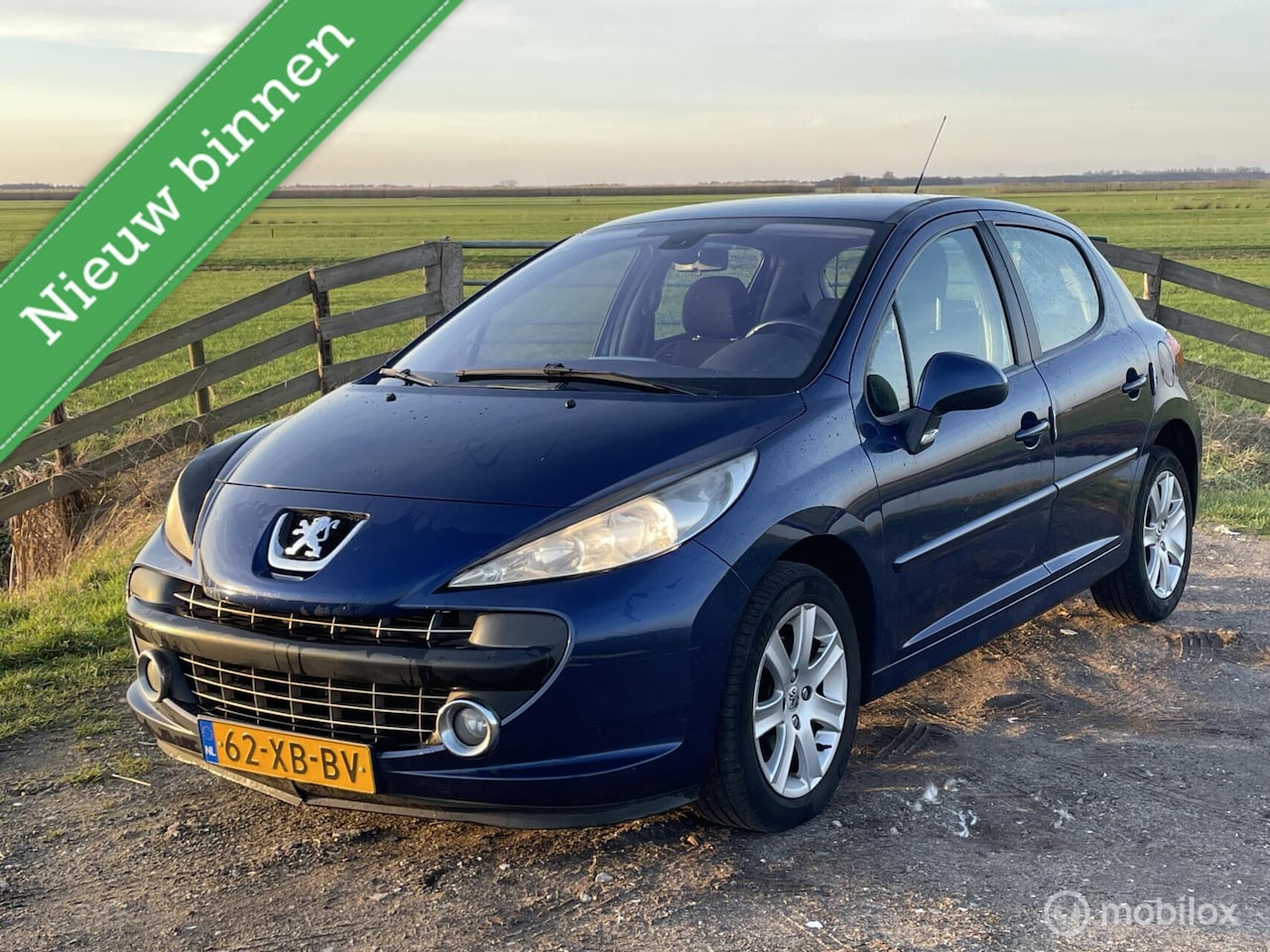 Peugeot 207 - 1.6-16V XS PACK 5 DEURS 2007 BLAUW PDC CRUISE - AutoWereld.nl