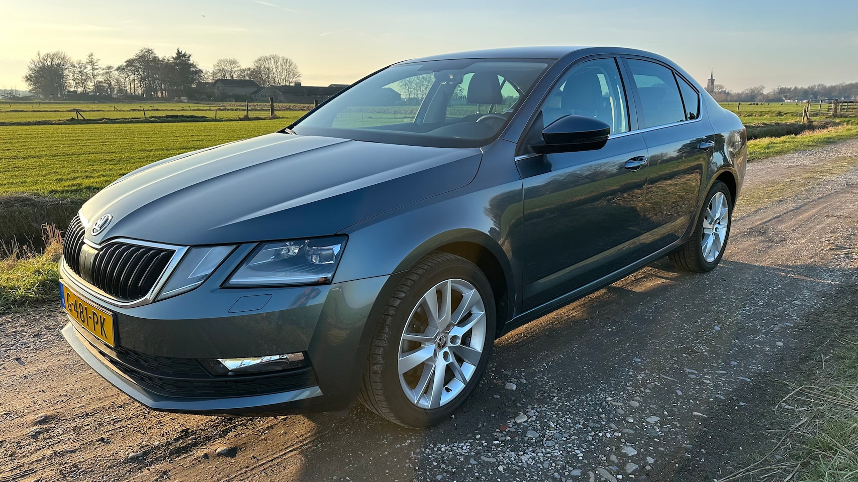 Skoda Octavia - 1.0 TSI Greentech Ambition Business - AutoWereld.nl
