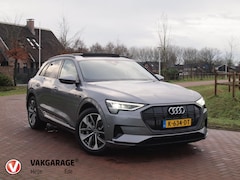 Audi e-tron - 55 quattro Business edition Plus 95 kWh | Panoramadak | Apple Carplay | Trekhaak | Parkeer