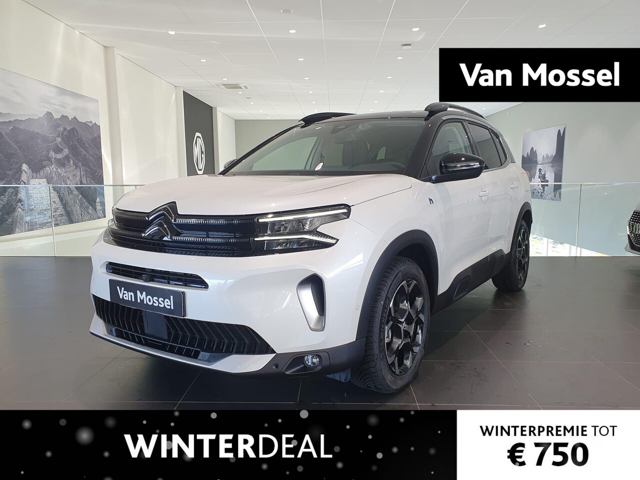 Citroën C5 Aircross - 1.6 Plug-in Hybrid 180 Business Plus - AutoWereld.nl