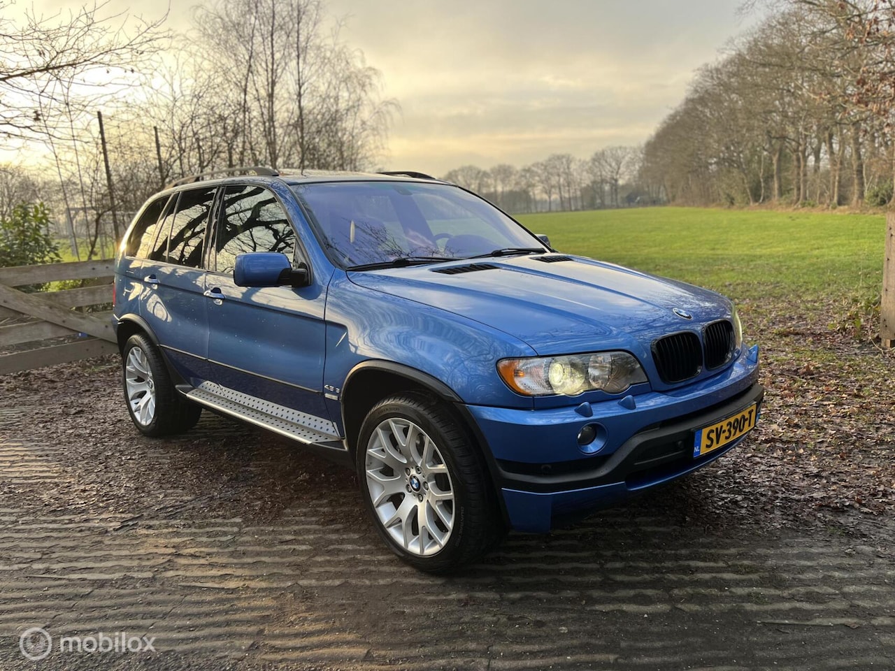 BMW X5 - 4.6IS AUT 2003 Youngtimer | PANO | XENON | TREKHAAK | - AutoWereld.nl
