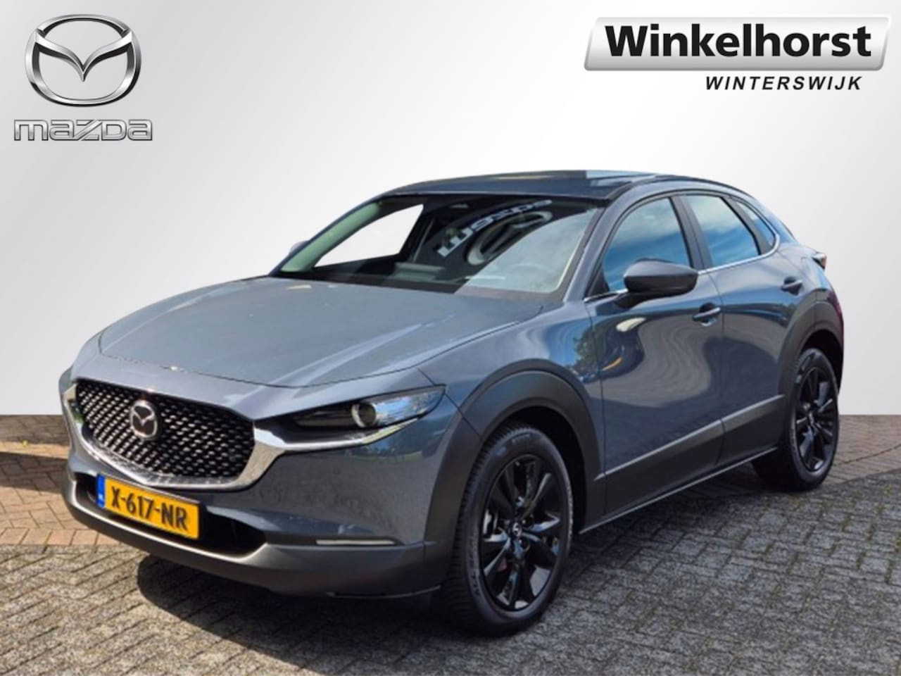 Mazda CX-30 - E- SKYACTIV- X 186 6MT M-HYBRID EXCLUSIVE-LINE DASO - AutoWereld.nl