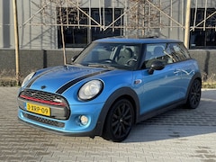 MINI One - 1.2 Salt Business