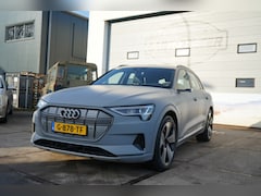 Audi e-tron - e-tron 55 quattro advanced 95 kWh Fully detailed