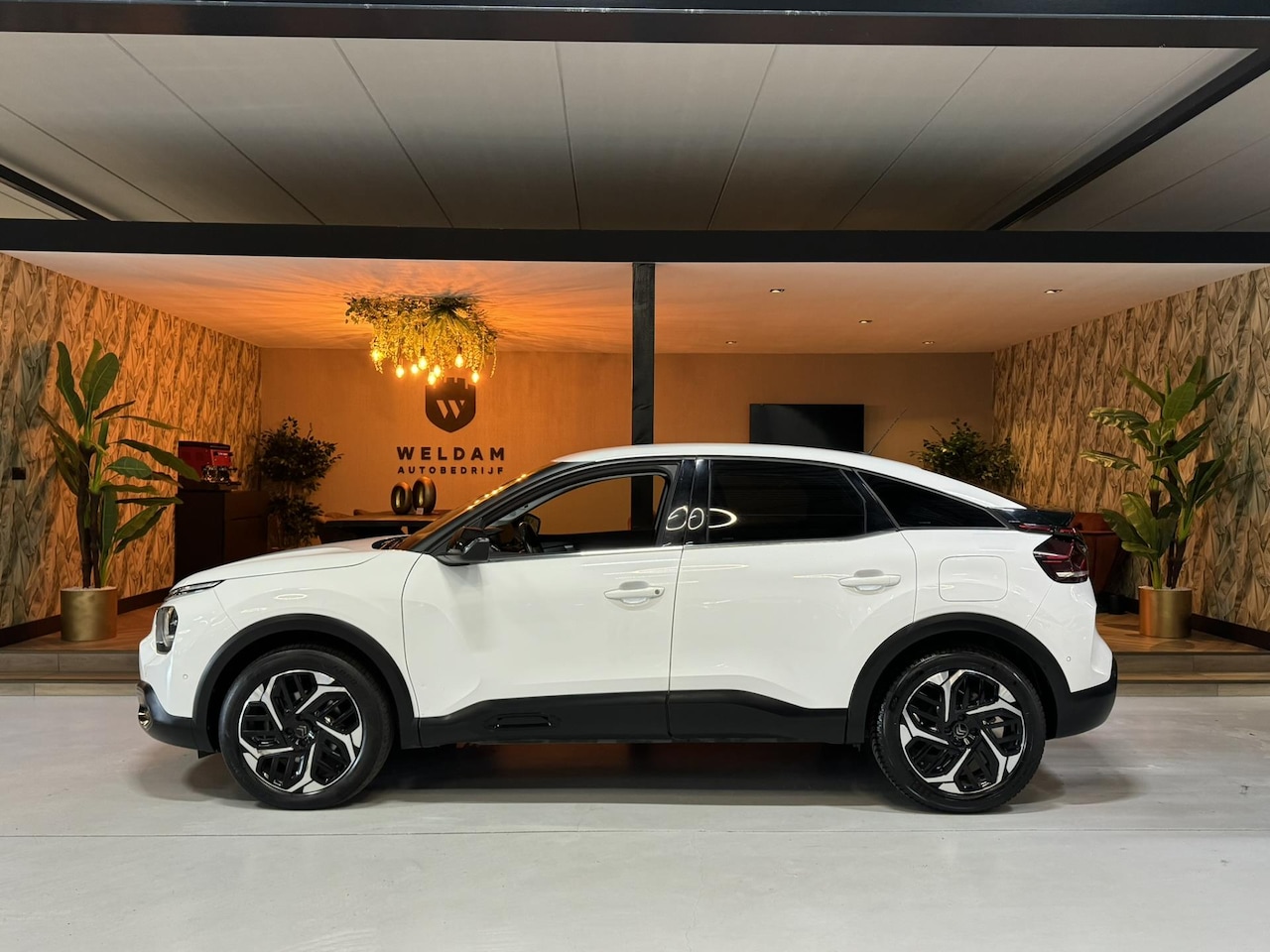 Citroën C4 - 1.2 Puretech Shine Garantie Head-Up Carplay Camera Adoptieve Cruise Navi Clima Keyless Led - AutoWereld.nl