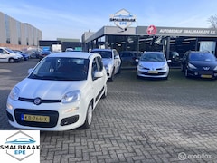 Fiat Panda - 1.2 Edizione Cool