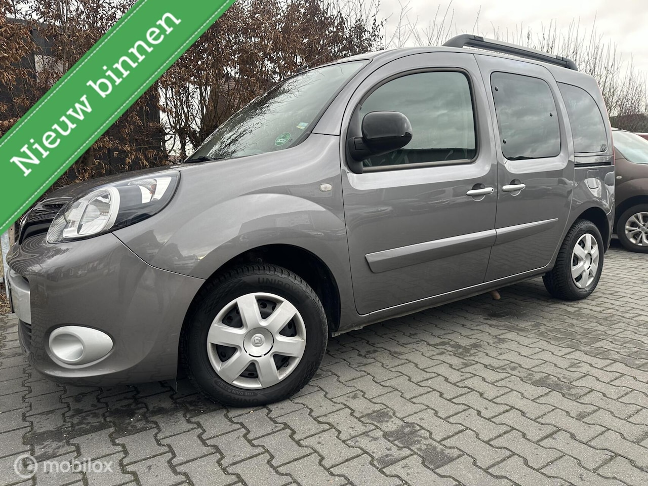 Renault Kangoo Family - 1.2 TCe / Rolstoelauto / Zeer netjes ! - AutoWereld.nl