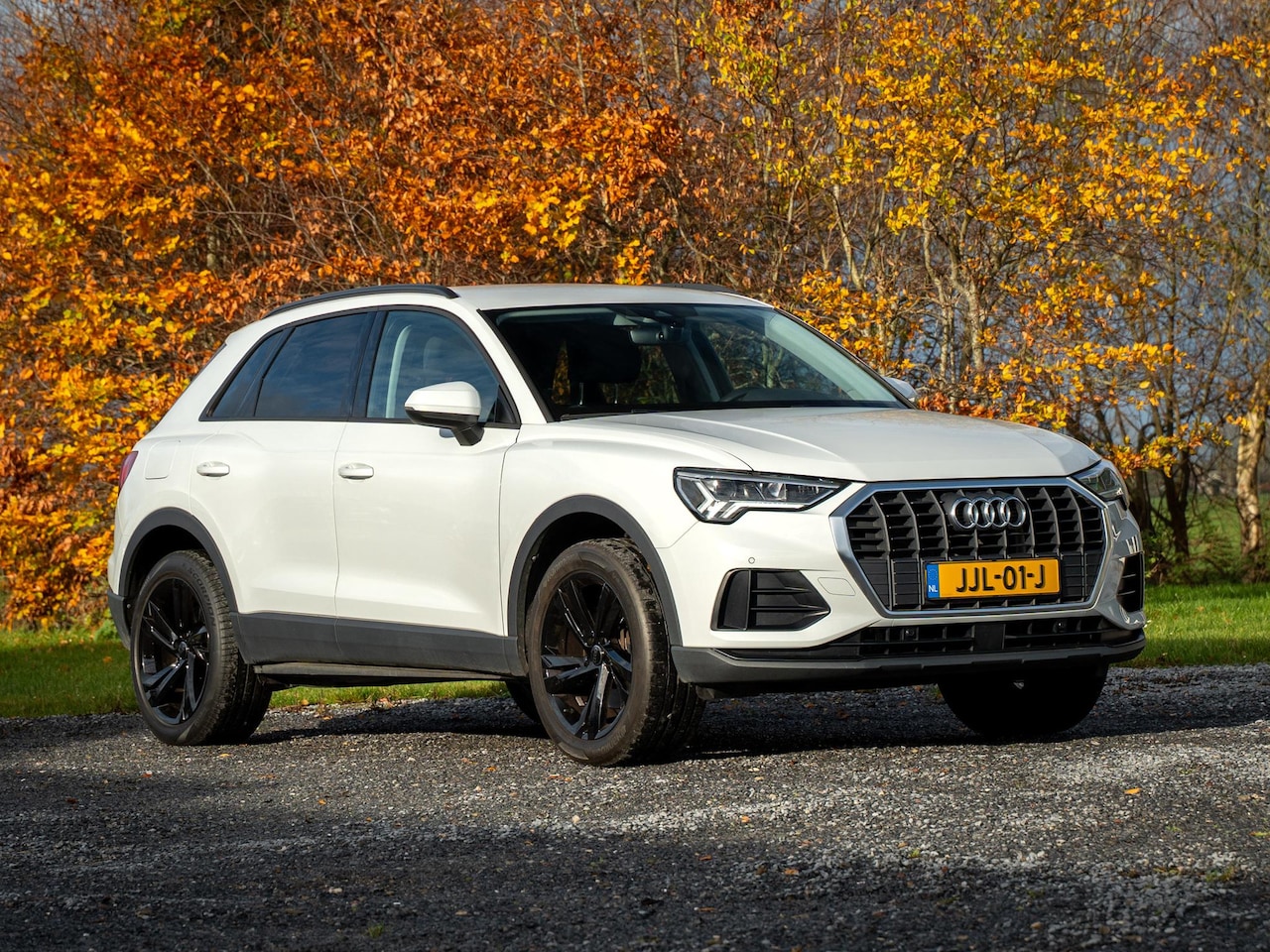Audi Q3 - 45 TFSI e // cruise control // start/stop // 20" - AutoWereld.nl