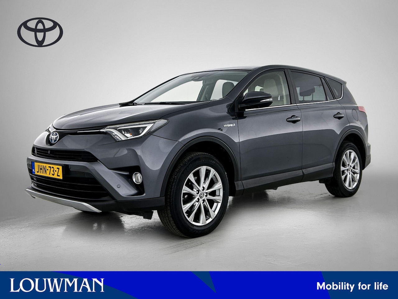 Toyota RAV4 - 2.5 Hybrid AWD Executive 2.5 Hybrid AWD Executive - AutoWereld.nl
