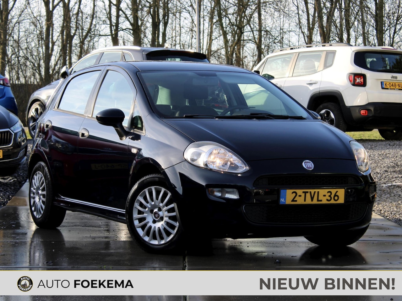 Fiat Punto Evo - 1.3 M-Jet Pop Airco Bluetooth - AutoWereld.nl