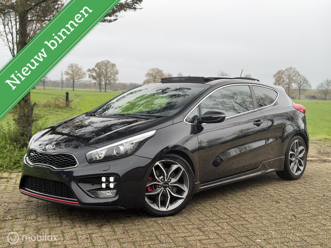 Kia Pro cee'd - 1.6 T-GDi GT 1.6 T-GDi GT - AutoWereld.nl