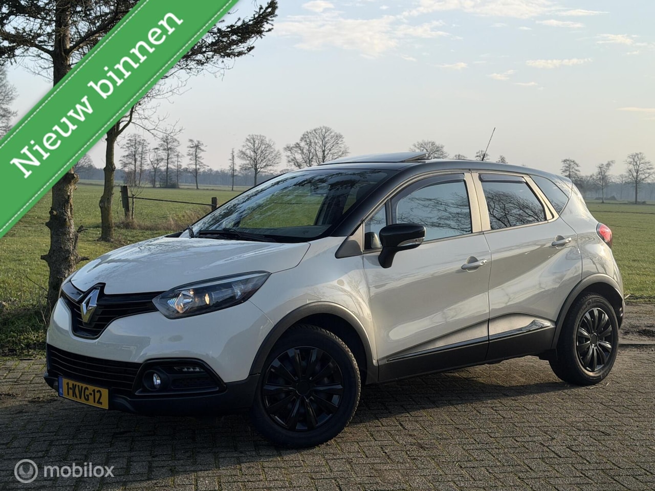Renault Captur - 0.9 TCe 90pk panodak 100% ondh camera cruise - AutoWereld.nl