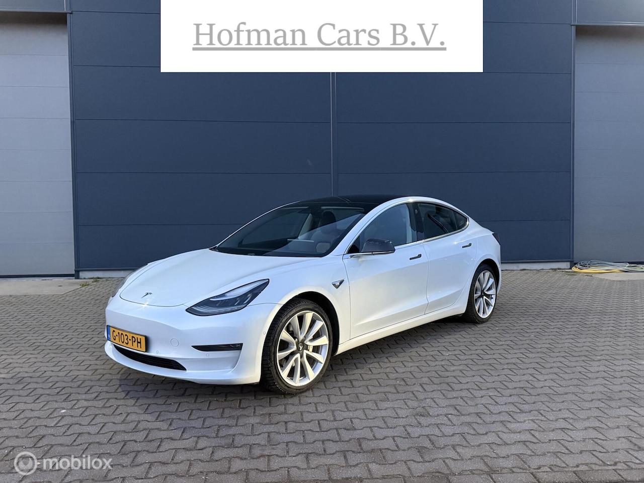 Tesla Model 3 - Long Range RWD Long Range Dual Motor AWD 75 kWh 71.000Km Autopilot Pearl White - AutoWereld.nl