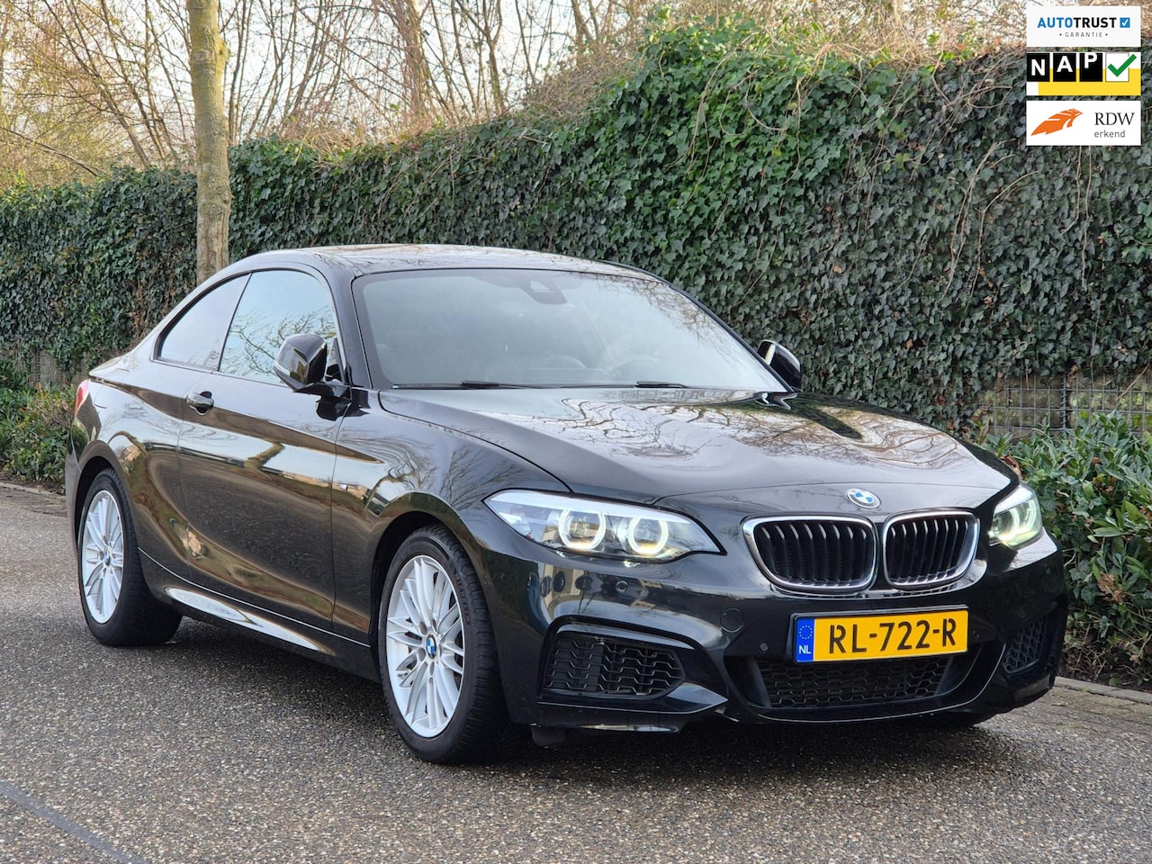 BMW 2-serie Coupé - M-Sport Apple Carplay Line Assist 2e eigenaar High Executive - AutoWereld.nl