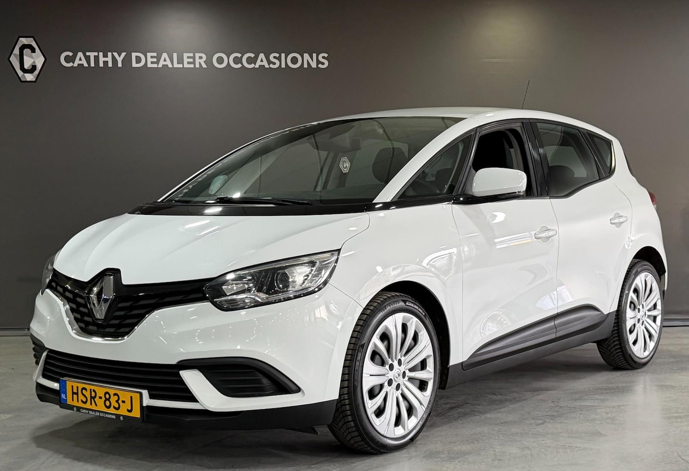 Renault Scénic - 1.2 TCe Life Airco Cruise Bluetooth - AutoWereld.nl