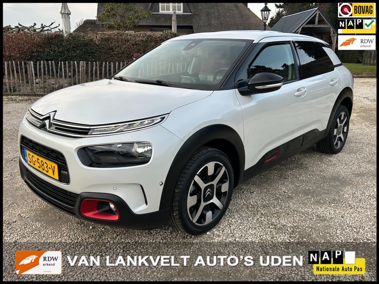 Citroën C4 Cactus - 1.2 PureTech Shine Navi, cruise Panodak - AutoWereld.nl