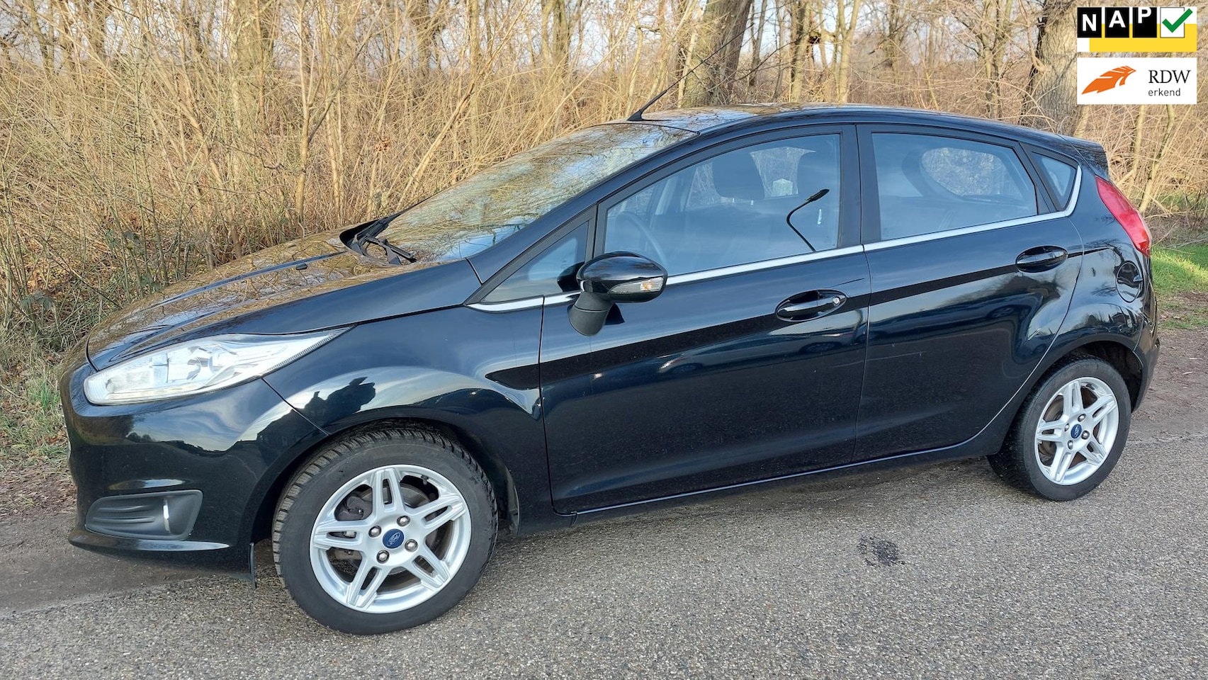 Ford Fiesta - 1.0 EcoBoost Titanium 1.0 EcoBoost Titanium - AutoWereld.nl
