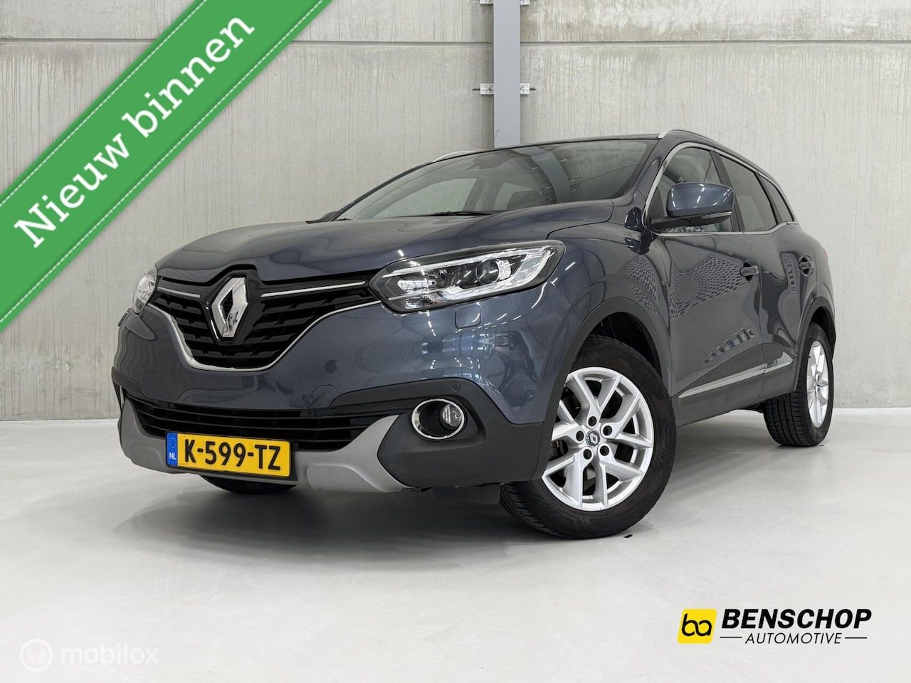 Renault Kadjar - 1.2 TCe Limited Navi Climate Cruise Stoelv Trekhaak - AutoWereld.nl