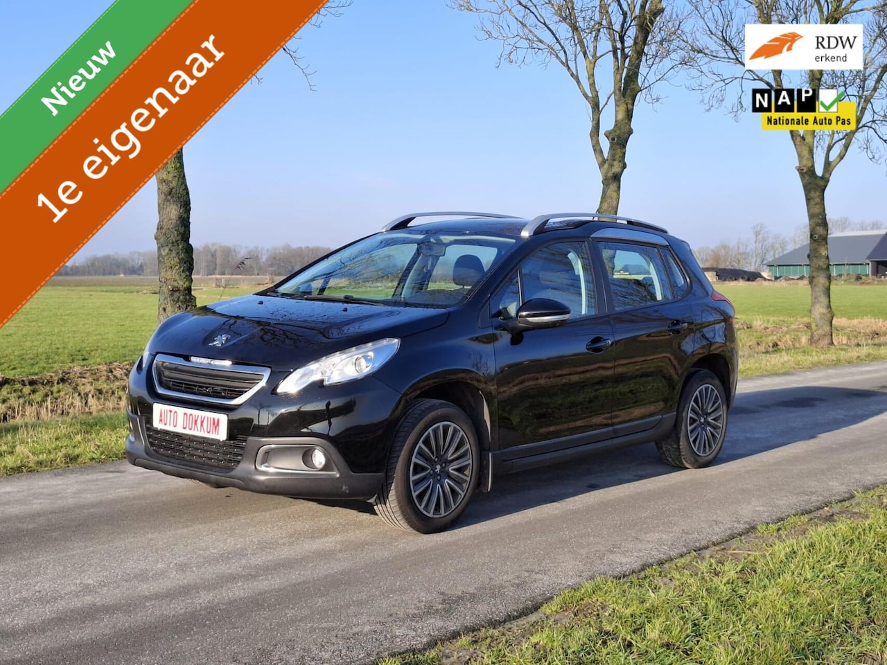 Peugeot 2008 - 1.2 Blue Lion, AUTOMAAT,1E EIG, nwe distibutie❗ - AutoWereld.nl