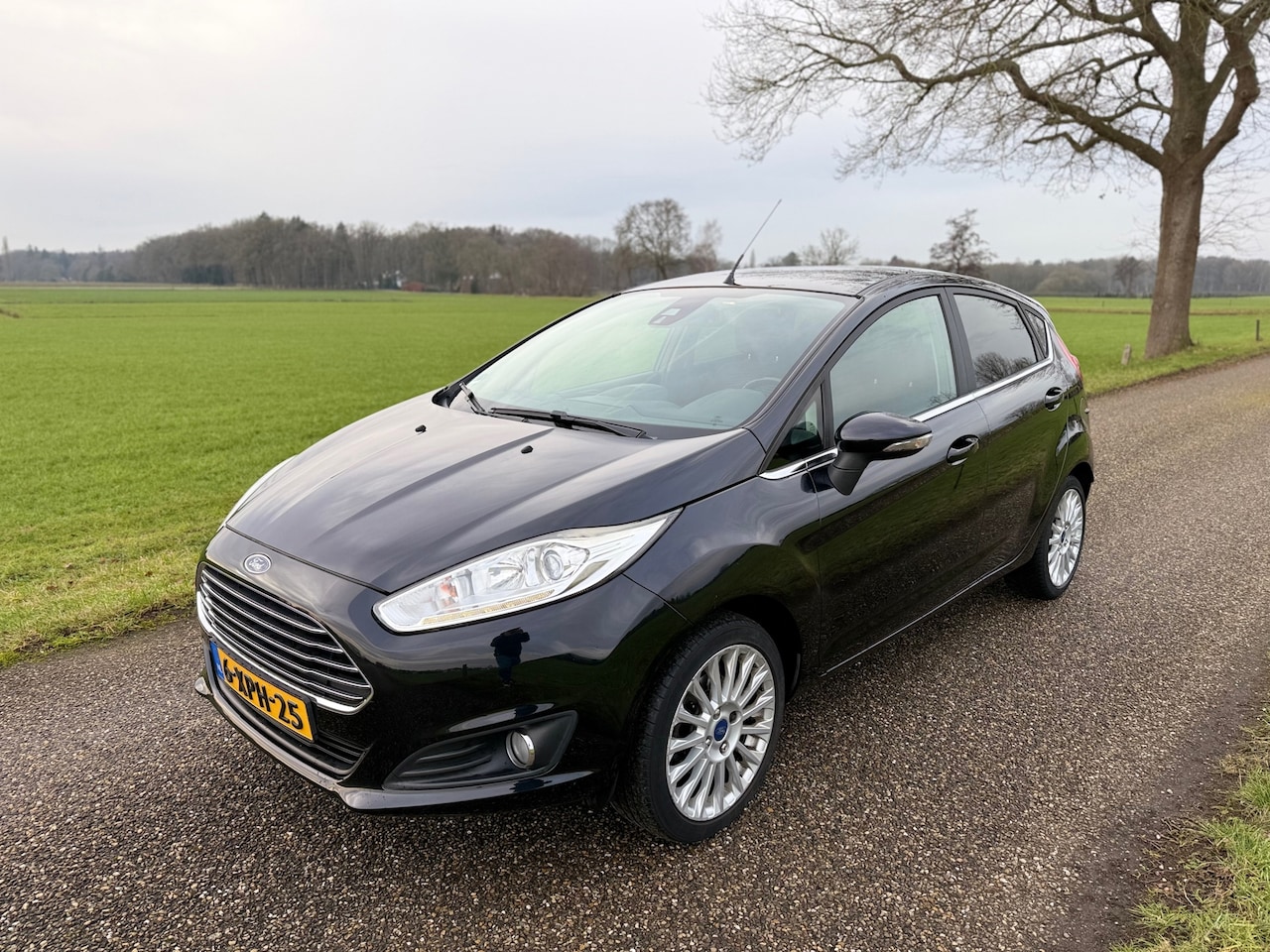 Ford Fiesta - 1.0 Titanium 100PK 5-DRS / Nieuwe Distributie riem - AutoWereld.nl