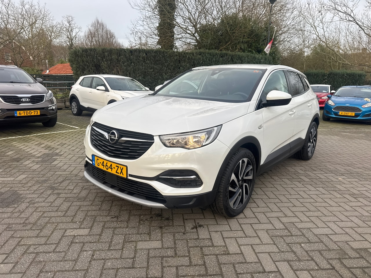 Opel Grandland X - 1.2 Turbo Business Executive trekhaak verkoop op afspraak - AutoWereld.nl
