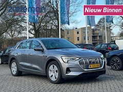 Audi e-tron - 55 quattro edition 95 kWh - Navi, Clima, Cruise