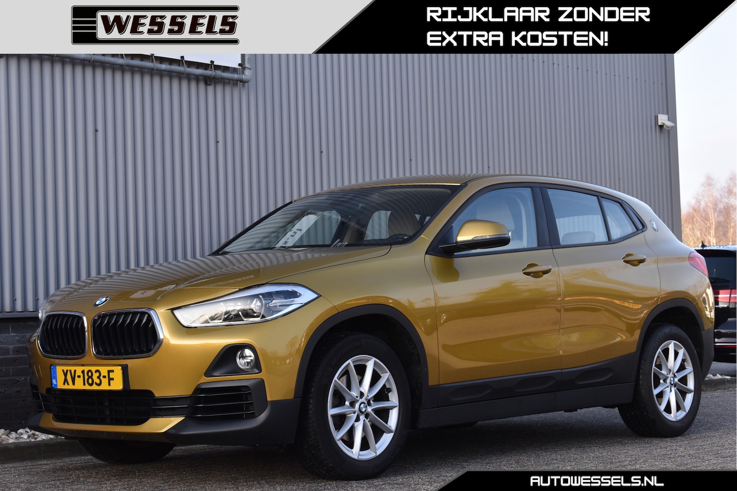 BMW X2 - sDrive18i Executive Edition Head up, Afn. trekhaak, Elek. achterklep, Leder, Cruise, PDC - AutoWereld.nl
