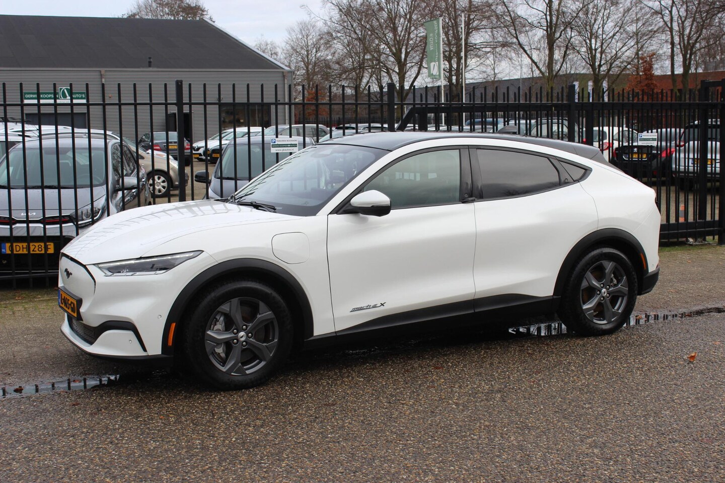 Ford Mustang Mach-E - Extended RWD 98 kWh, Panoramadak, Leer! - AutoWereld.nl