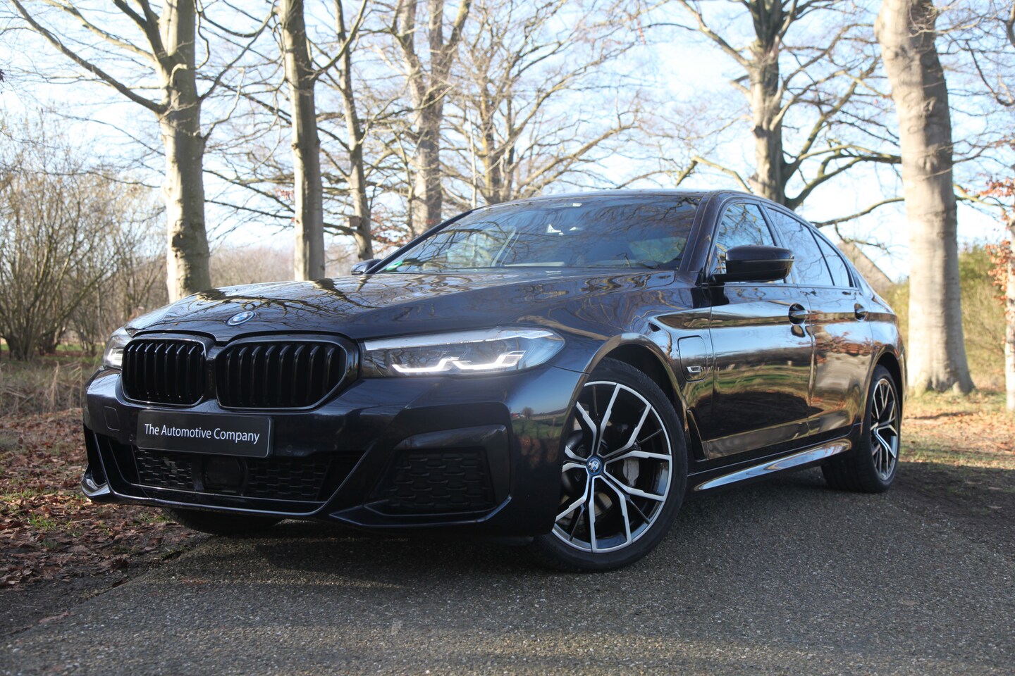 BMW 5-serie - 530e High Executive 530e High Executive - AutoWereld.nl
